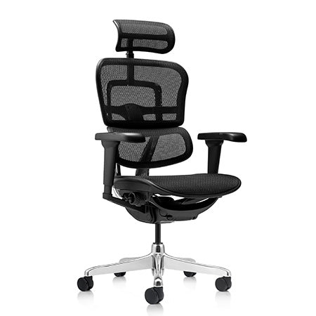 Special Ergohuman 2 Ultra Fabric Mesh Combo