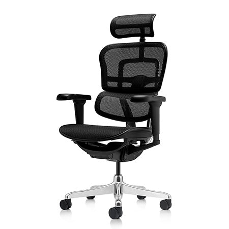 Special Ergohuman 2 Ultra Fabric Mesh Combo