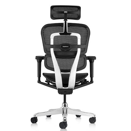 Special Ergohuman 2 Ultra Fabric Mesh Combo