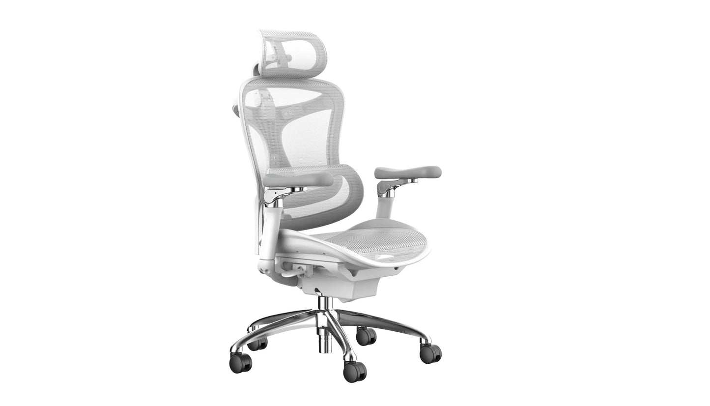 Sihoo DORO-C300 Pro Ergonomic Office Chair