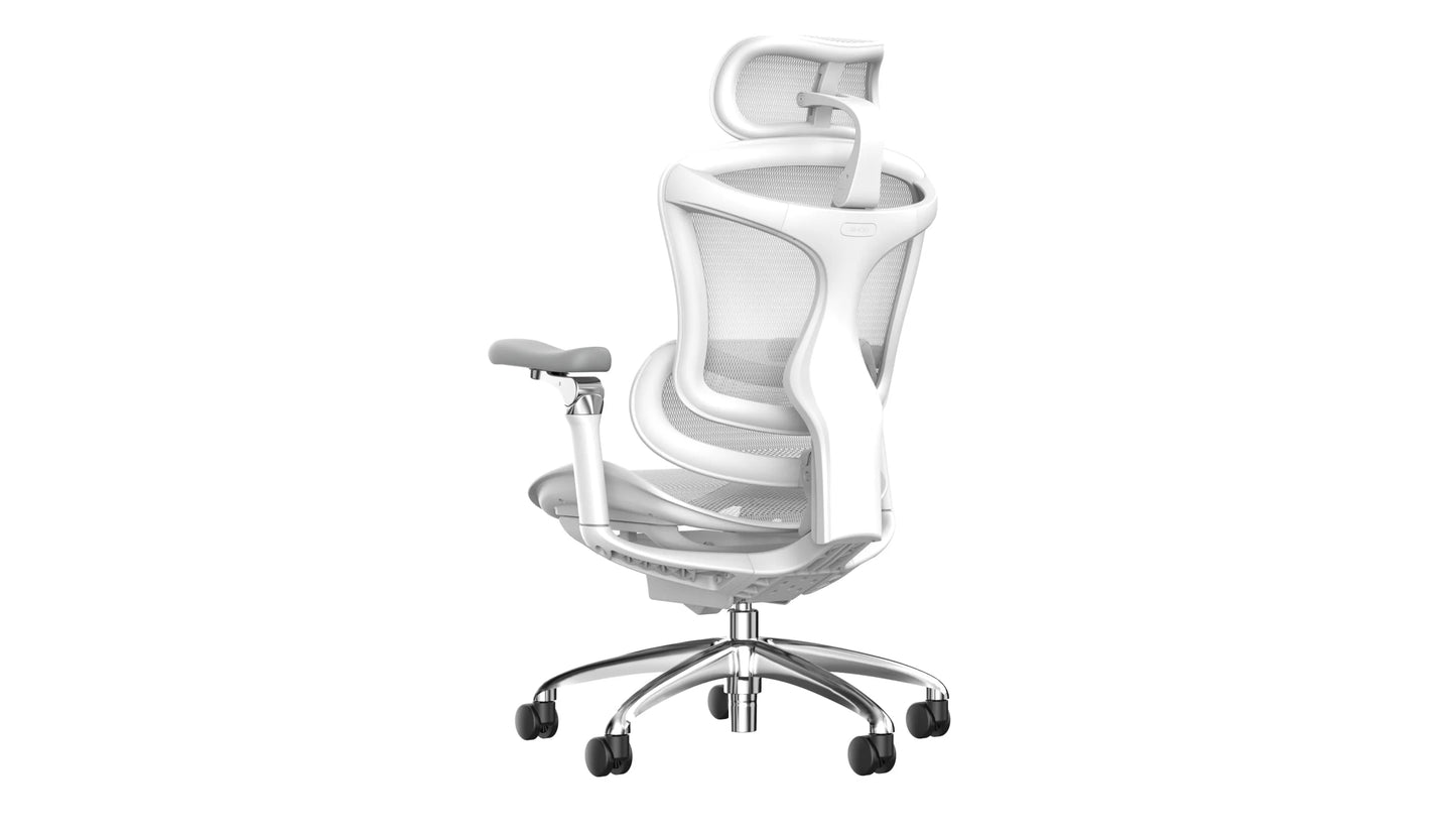 Sihoo DORO-C300 Pro Ergonomic Office Chair