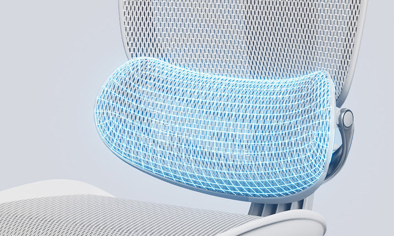 Larger lumbar support area