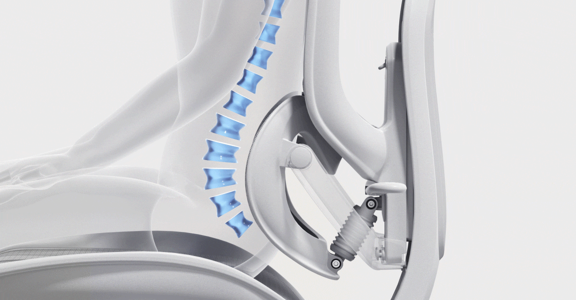 Domino sacral-lumbar support in motion