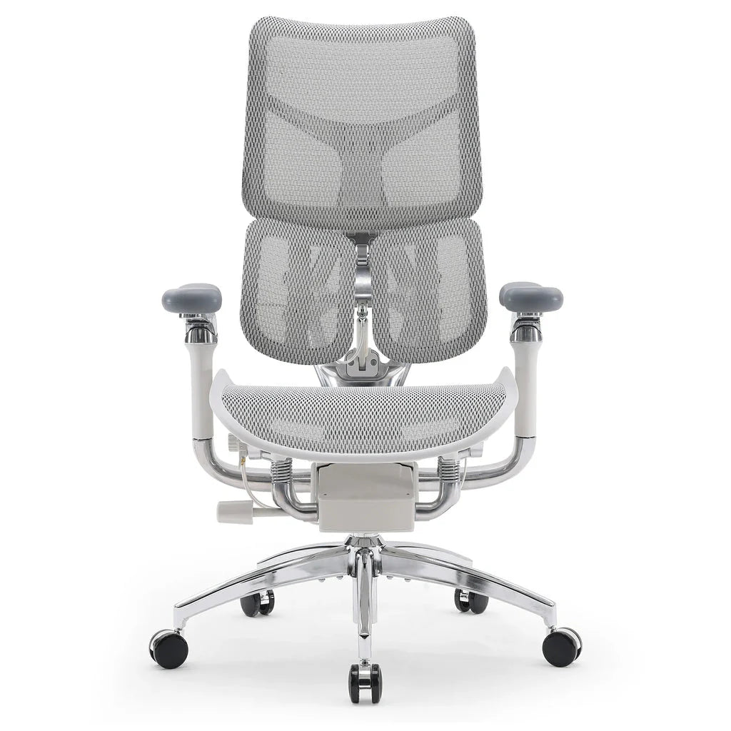Sihoo DORO-S300 Ergonomic Office Chair
