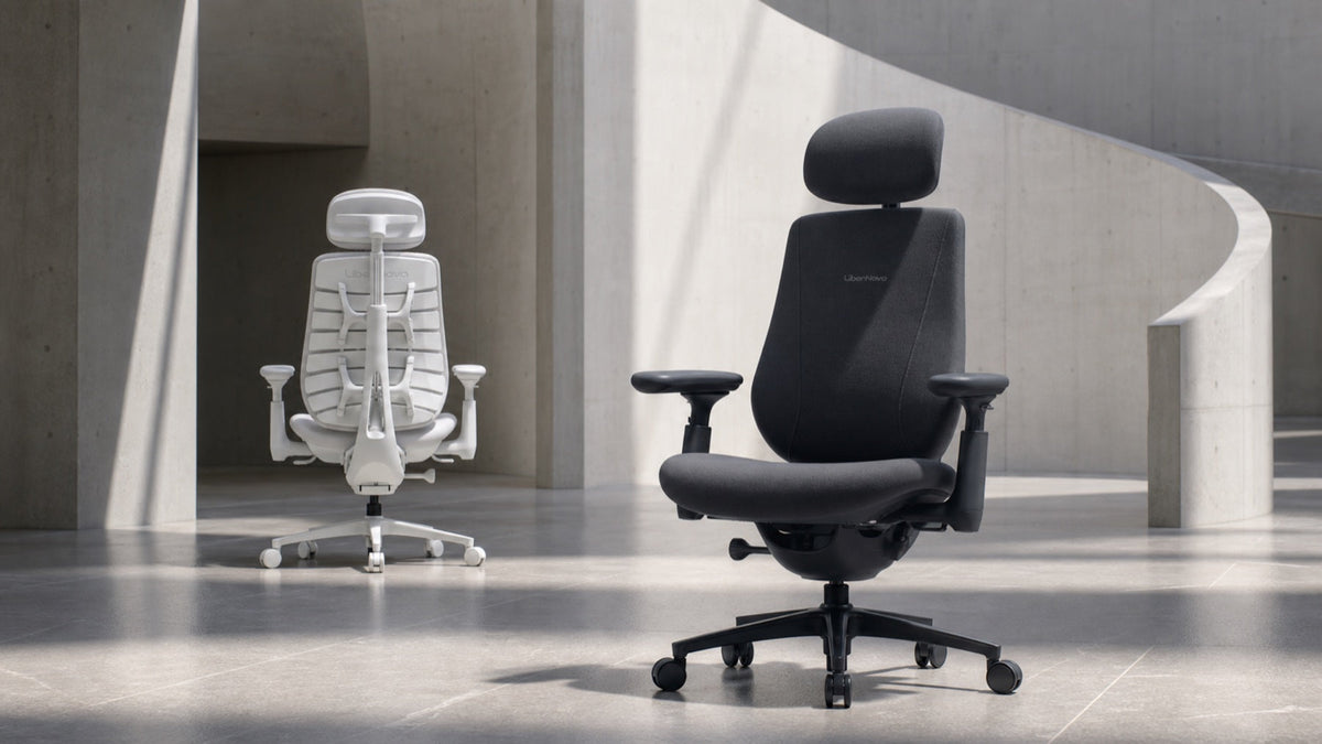 LiberNovo Maxis big-and-tall ergonomic chairs in Glacier (rear view) and Graphite (front view)