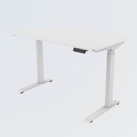 Sit Standing Desk Dual Motor T06