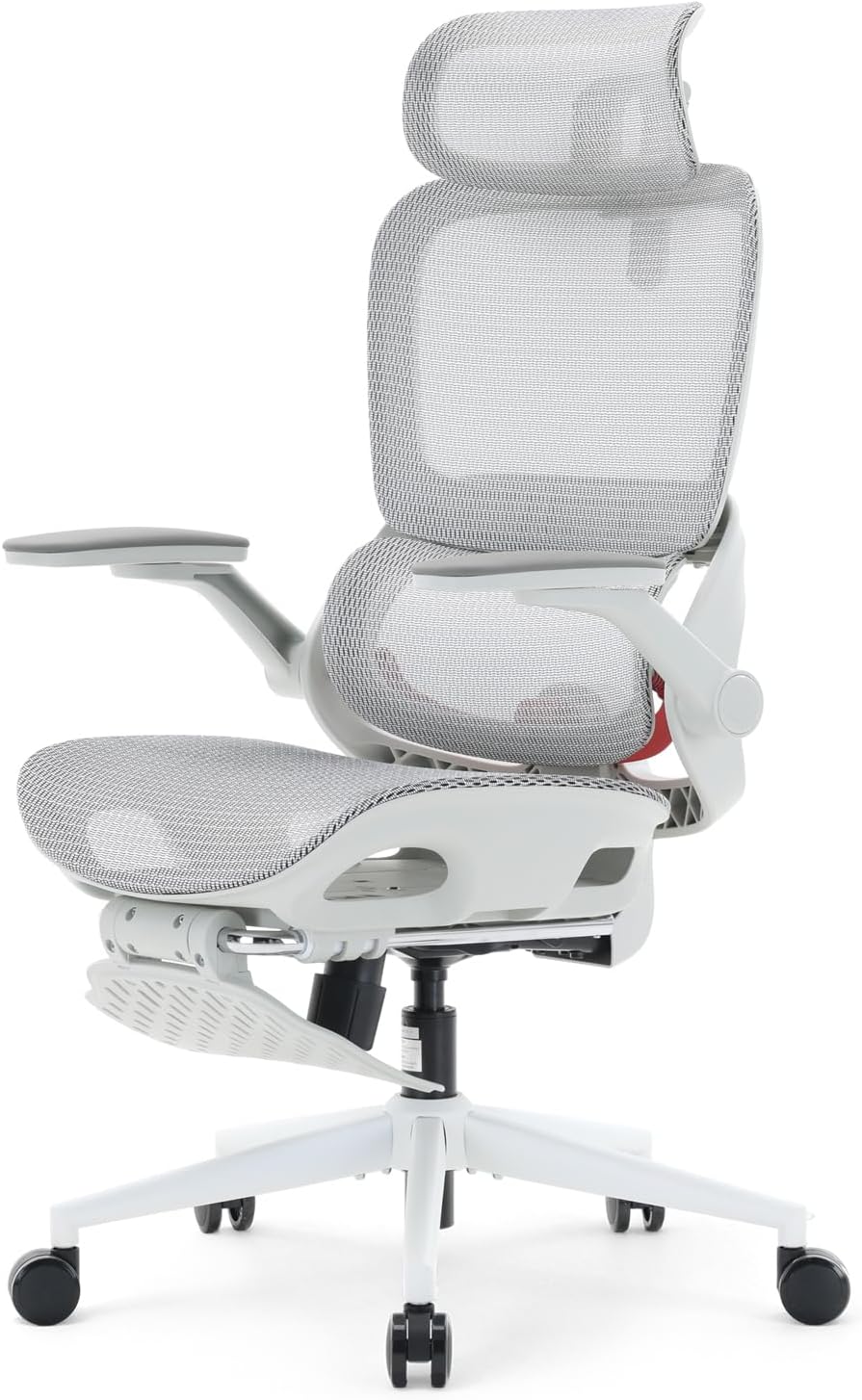 Sihoo B100 Pro Ergonomic Office Chair