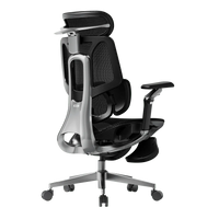 HBADA E3 Pro in Black with footrest, rear view