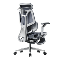 HBADA E3 Pro in Grey with footrest, rear three-quarter view