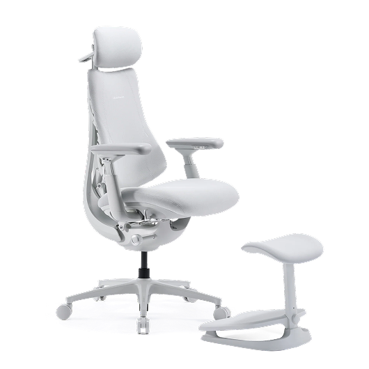 LiberNovo Omni Pro Dynamic Ergonomic Chair