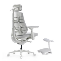 LiberNovo Maxis Dynamic Ergonomic Chair