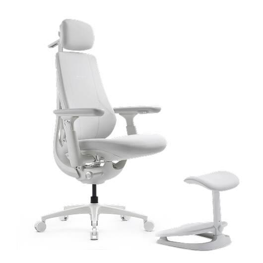 LiberNovo Maxis Dynamic Ergonomic Chair