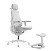 LiberNovo Maxis Dynamic Ergonomic Chair