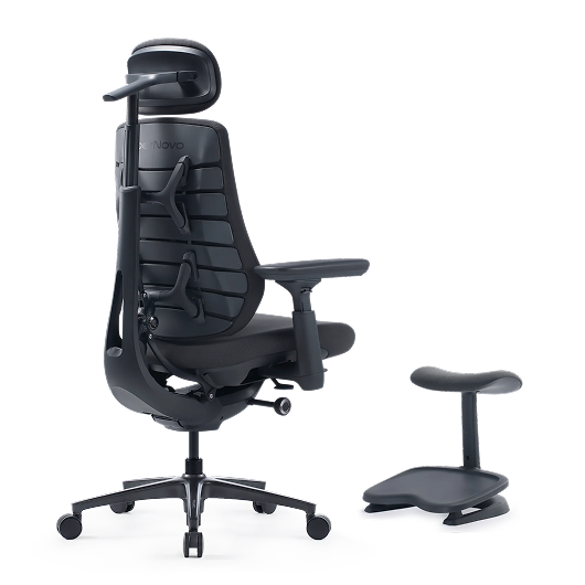 LiberNovo Maxis Dynamic Ergonomic Chair