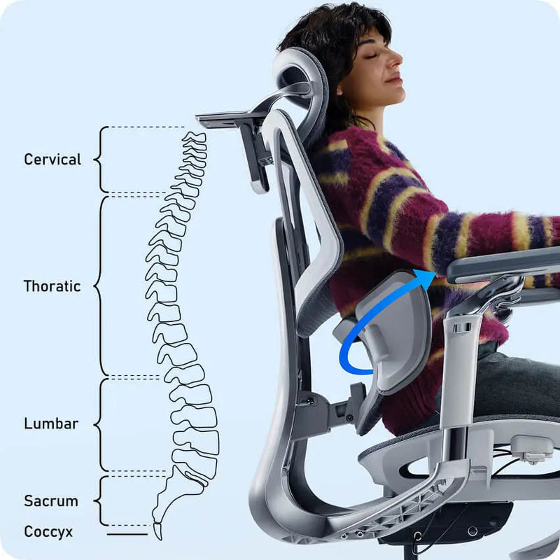 HBADA E3 Pro elastic lumbar following the lumbar spine while reclining, spine regions labelled