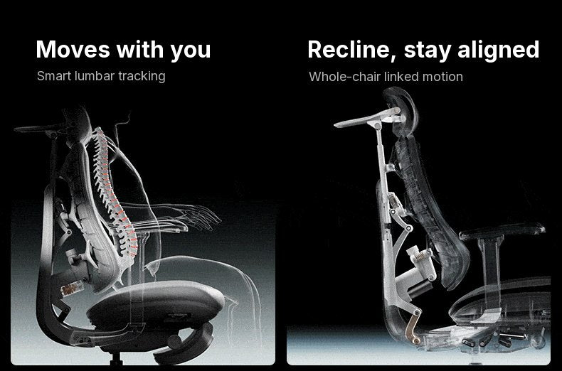 Animation of the HBADA T8 Max lumbar support following the sitter and the whole chair moving together on recline