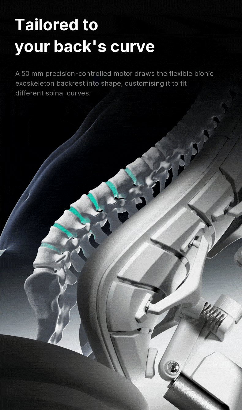 Render of a spine resting against the HBADA T8 Max's bionic exoskeleton backrest