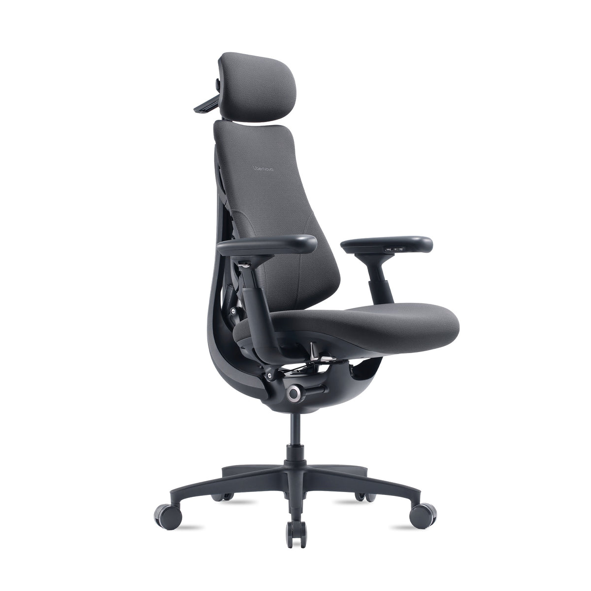 LiberNovo Omni Gen dynamic ergonomic chair in Graphite, front three-quarter view