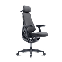 LiberNovo Omni Gen dynamic ergonomic chair in Graphite, front three-quarter view