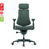 LiberNovo Footrest