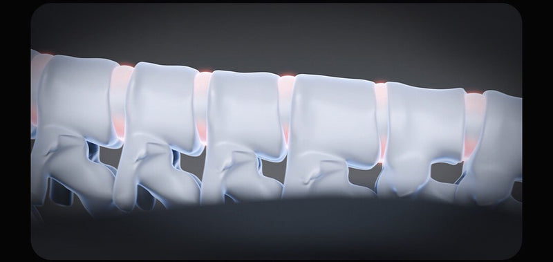 Illustration of a spine with softly glowing discs between the vertebrae
