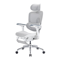 Sihoo DORO-C300 Pro V2 Ergonomic Office Chair