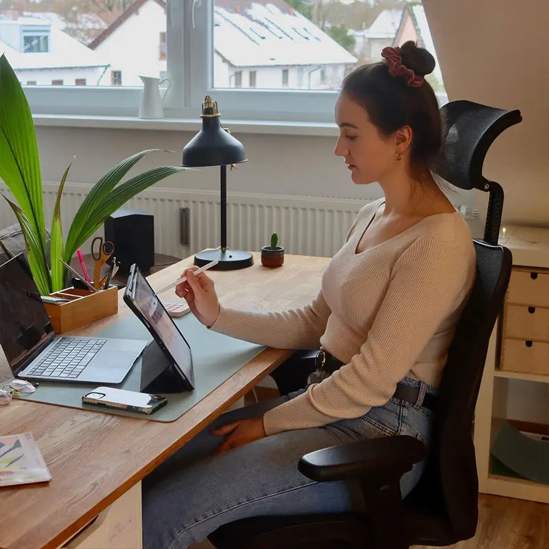 Sihoo M57 Ergonomic Office Chair