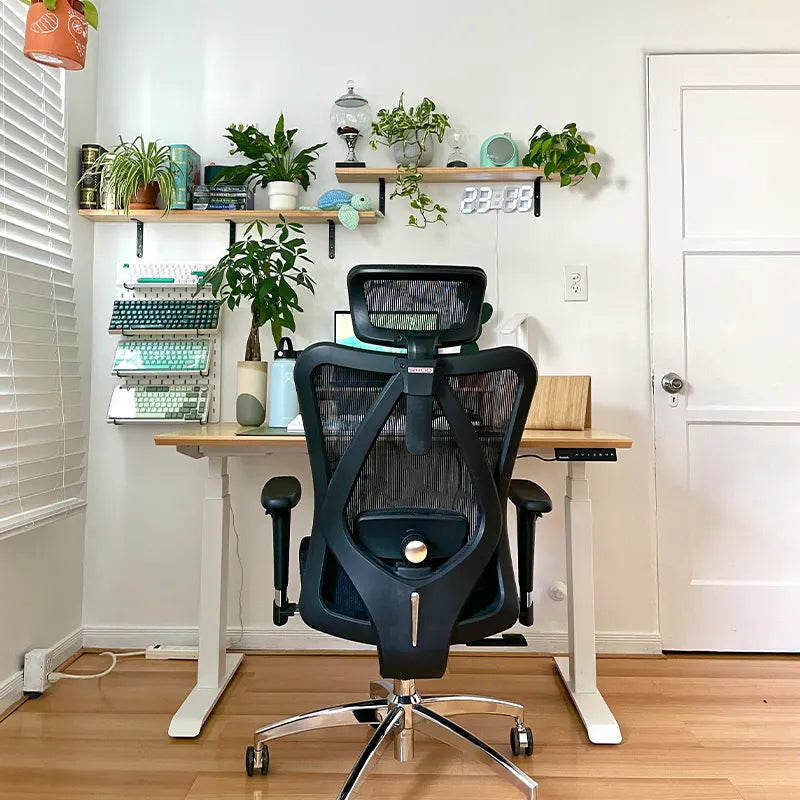 Sihoo M57 Ergonomic Office Chair