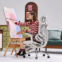 Sihoo DORO-C300 Pro V2 Ergonomic Office Chair
