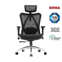 Sihoo M57 Ergonomic Office Chair