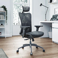 Sihoo M57 Ergonomic Office Chair