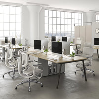 Sihoo DORO-C300 Pro V2 Ergonomic Office Chair
