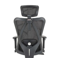 Sihoo M57 Ergonomic Office Chair