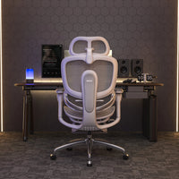 Sihoo DORO-C300 Pro V2 Ergonomic Office Chair