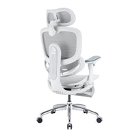 Sihoo DORO-C300 Pro V2 Ergonomic Office Chair