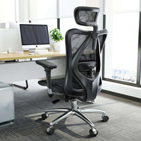 Sihoo M57 Ergonomic Office Chair