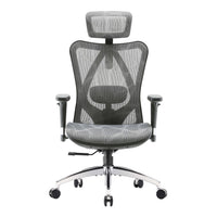 Sihoo M57 Ergonomic Office Chair