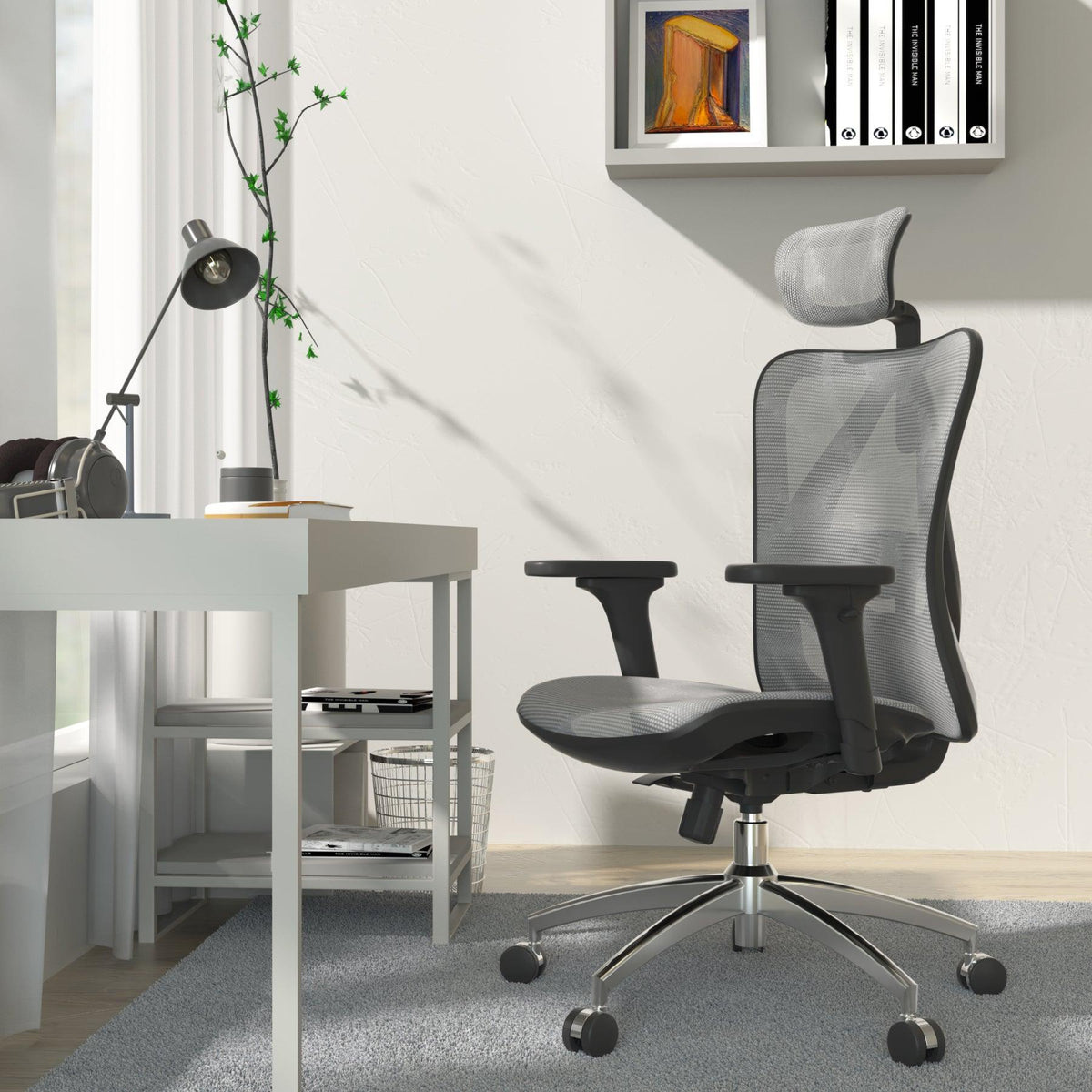 Sihoo M57 Ergonomic Office Chair