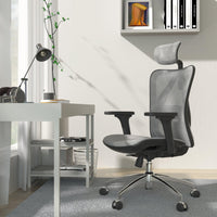 Sihoo M57 Ergonomic Office Chair