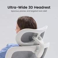 Sihoo DORO-C300 Pro V2 Ergonomic Office Chair