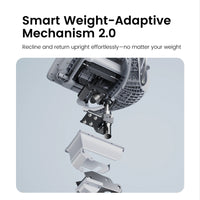 Sihoo DORO-C300 Pro V2 Ergonomic Office Chair