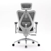 Sihoo M57 Ergonomic Office Chair