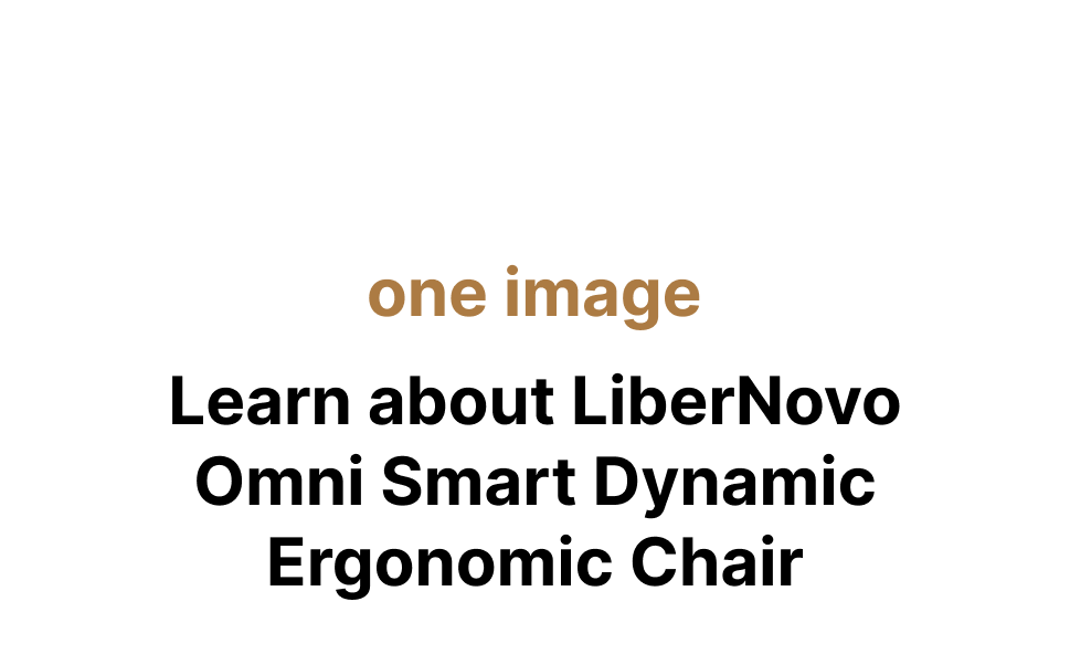 LiberNovo Omni Dynamic Ergonomic Chair — feature 1