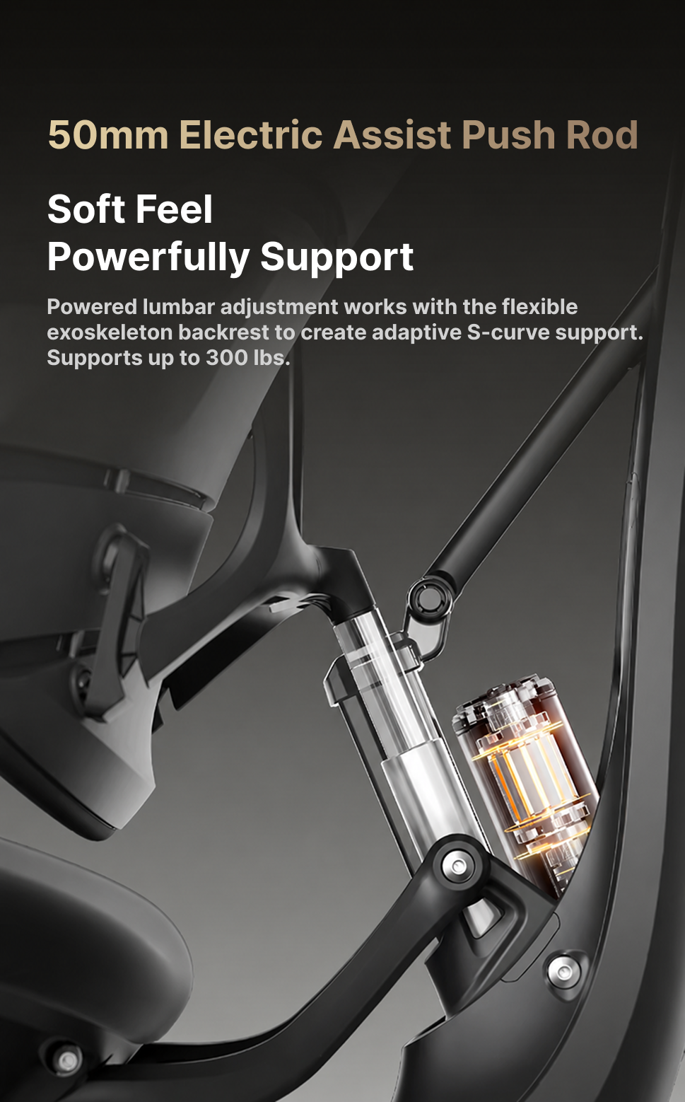 LiberNovo Omni Dynamic Ergonomic Chair — feature 5