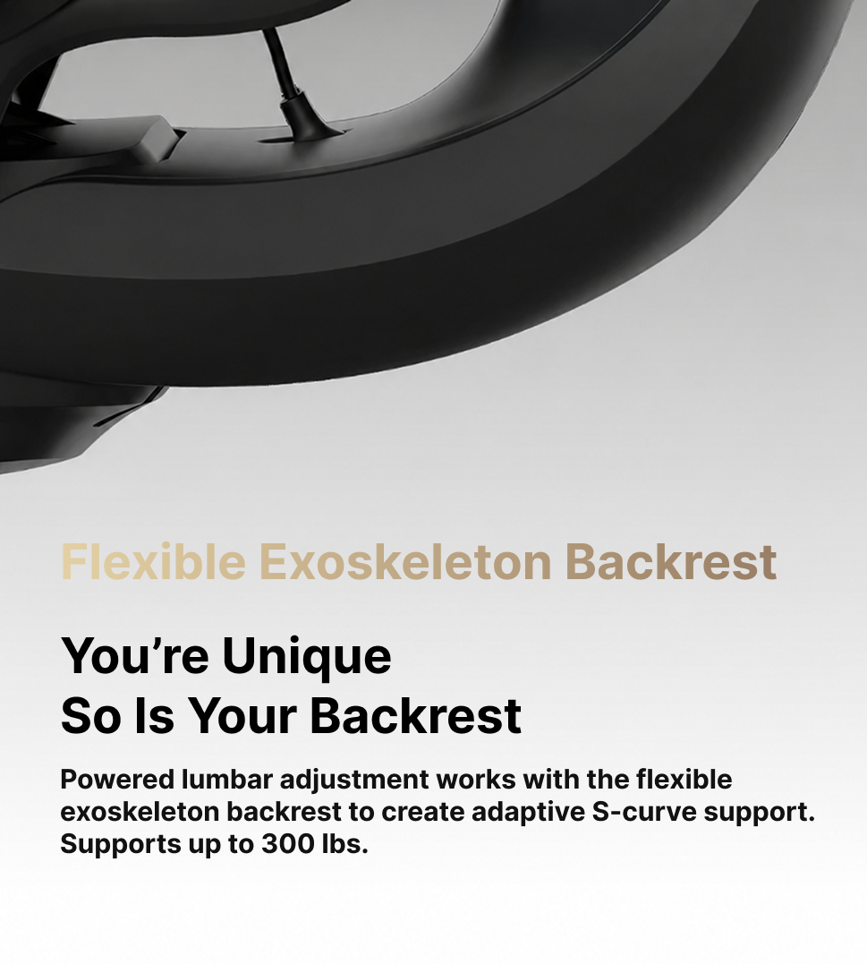 LiberNovo Omni Dynamic Ergonomic Chair — feature 6