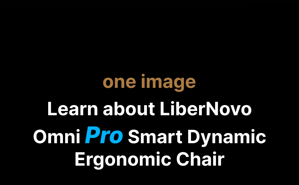 LiberNovo Omni Pro Dynamic Ergonomic Chair — feature 1