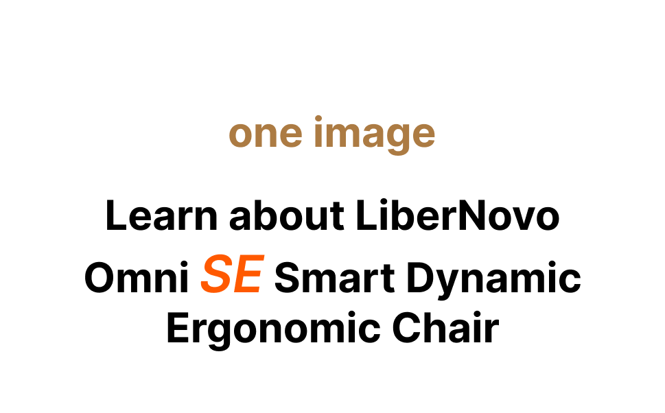 LiberNovo Omni SE Dynamic Ergonomic Chair — feature 2