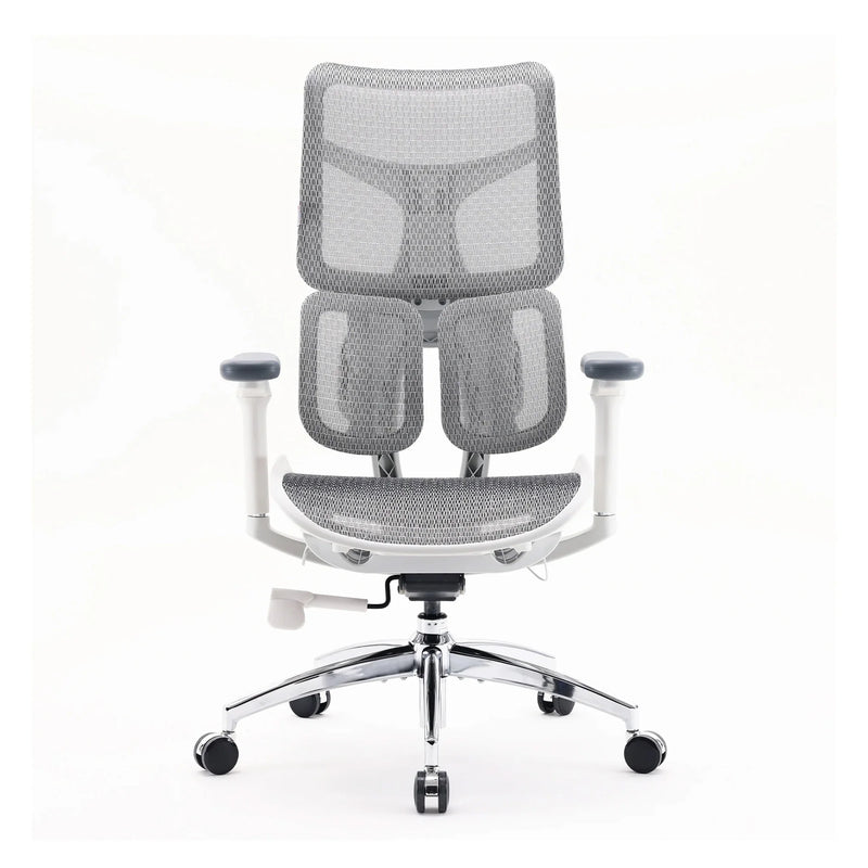 Sihoo S100 Ergonomic Office Chair