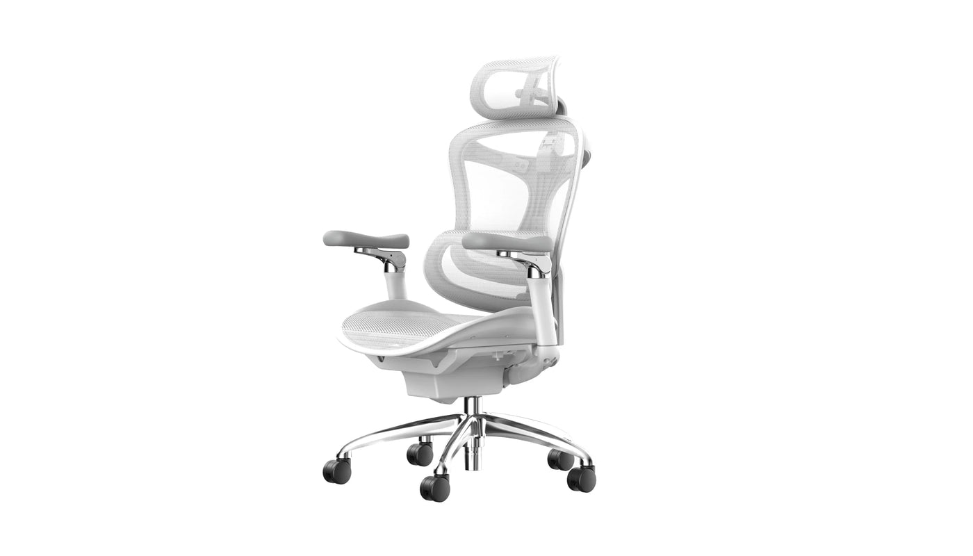 Sihoo DORO-C300 Pro (Second Gen)Ergonomic Office Chair