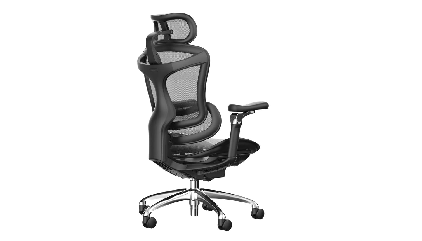 Sihoo DORO-C300 Pro Ergonomic Office Chair